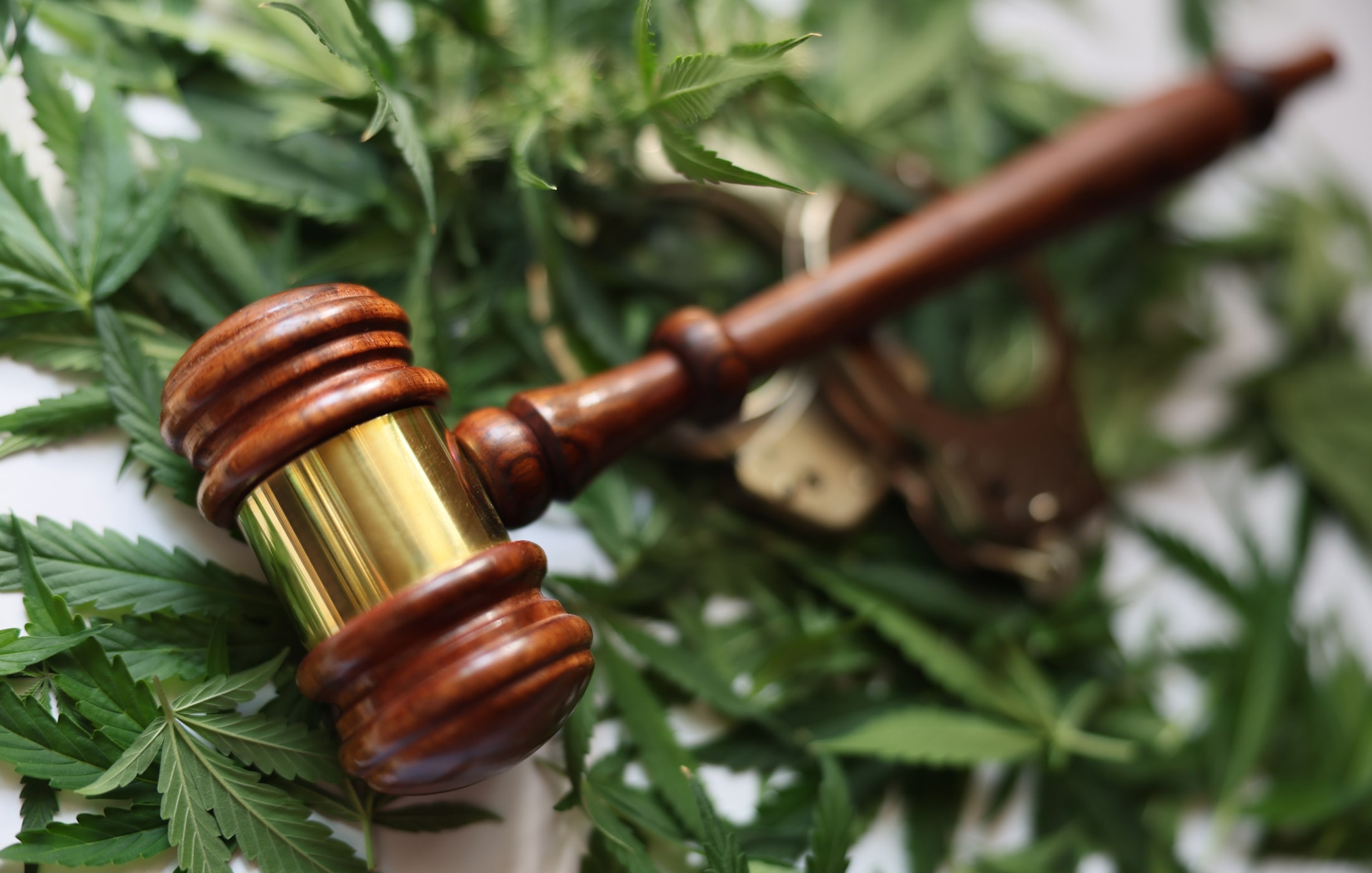 Shutterstock2275676441